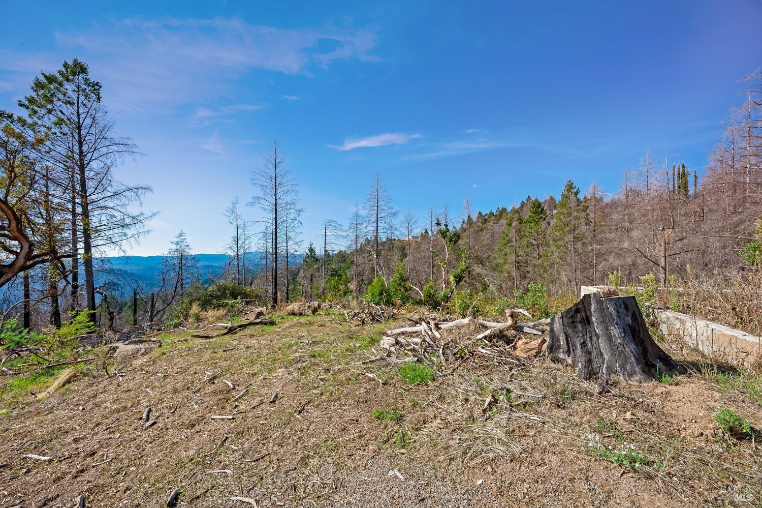 19344 Mccray Ridge Road