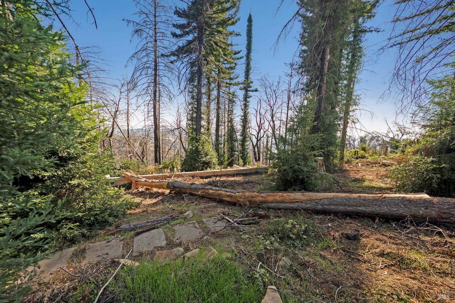 19344 Mccray Ridge Road