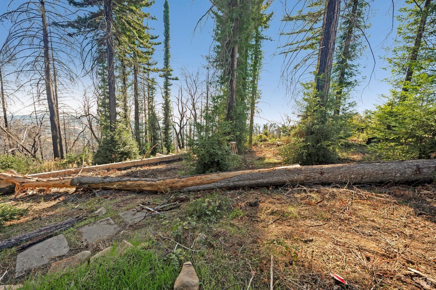 19344 Mccray Ridge Road