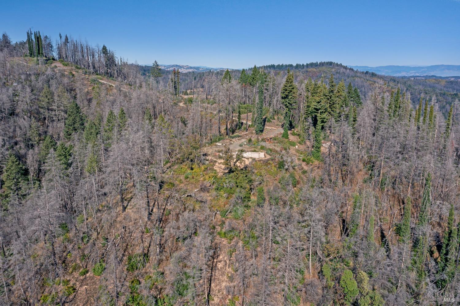 19344 Mccray Ridge Road