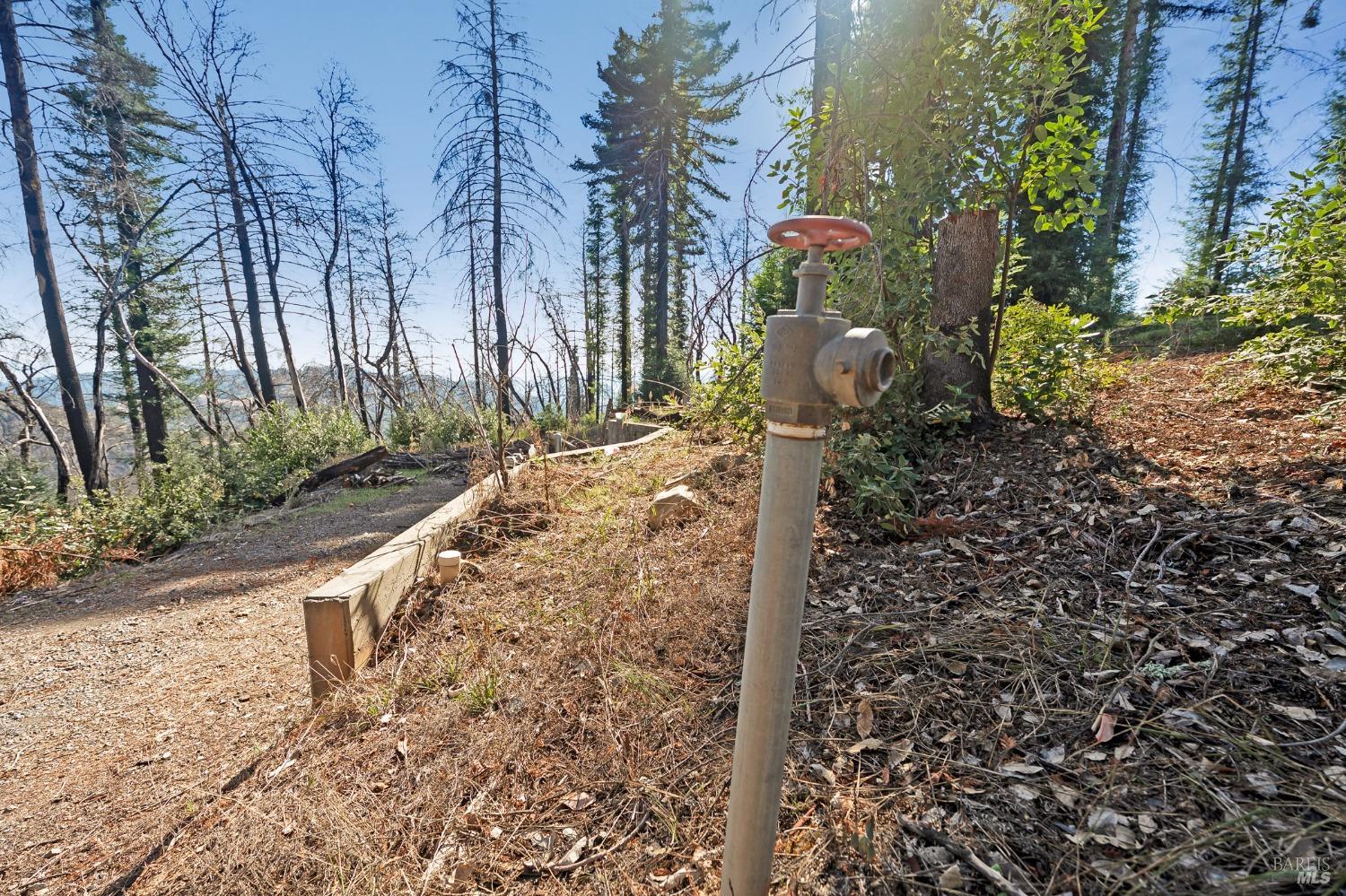 19344 Mccray Ridge Road