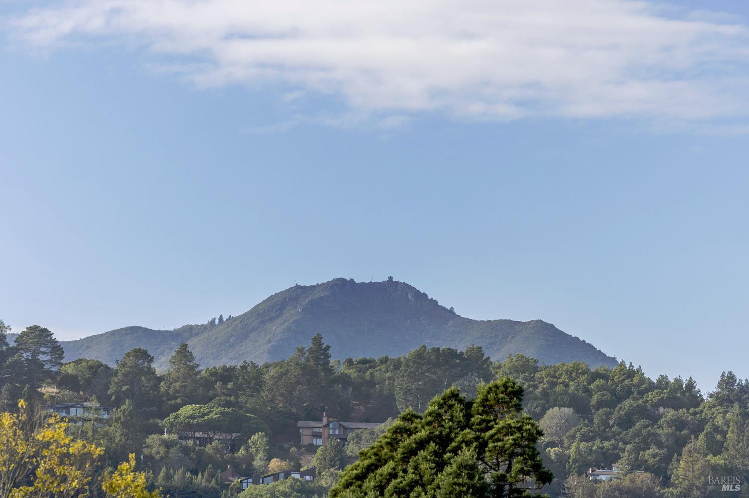 6 Tower Drive