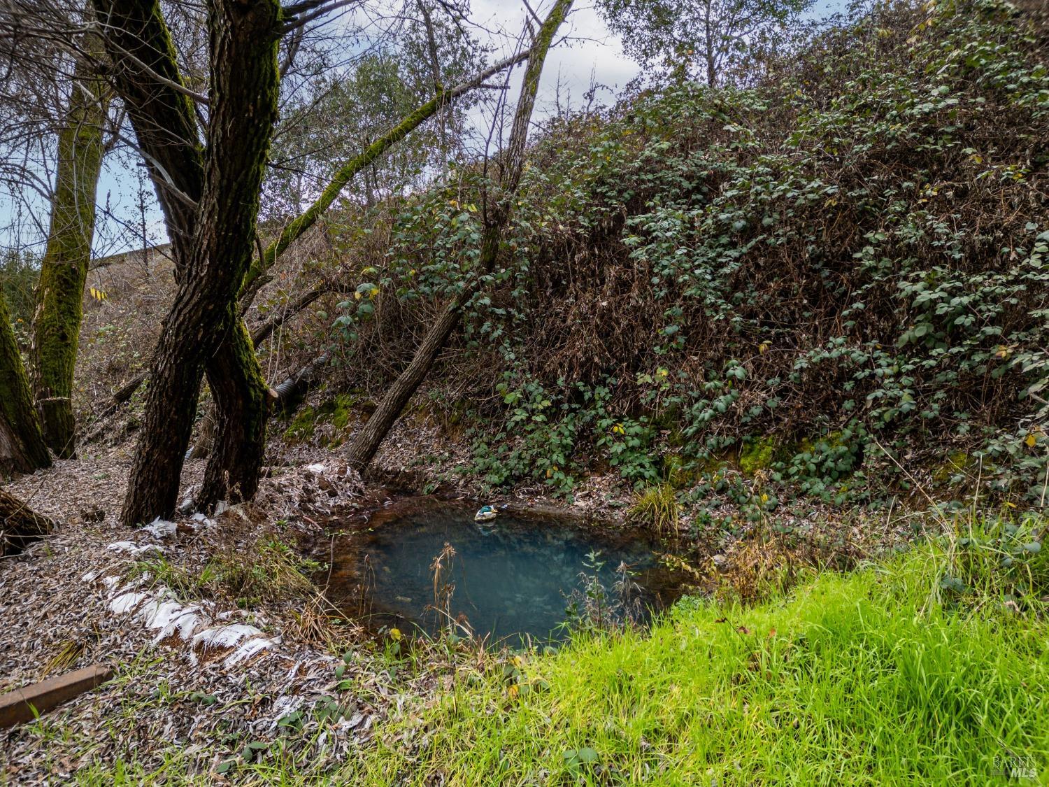 8250 Vineyard Oaks Dr