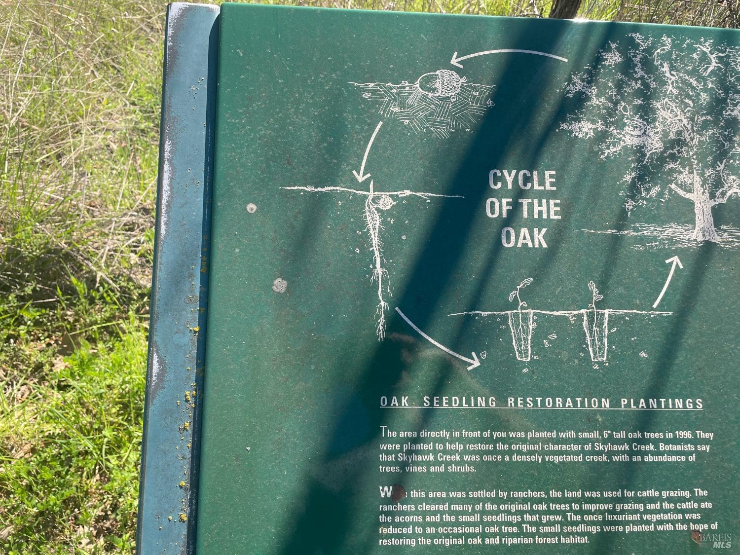 5903 Mountain Hawk Dr