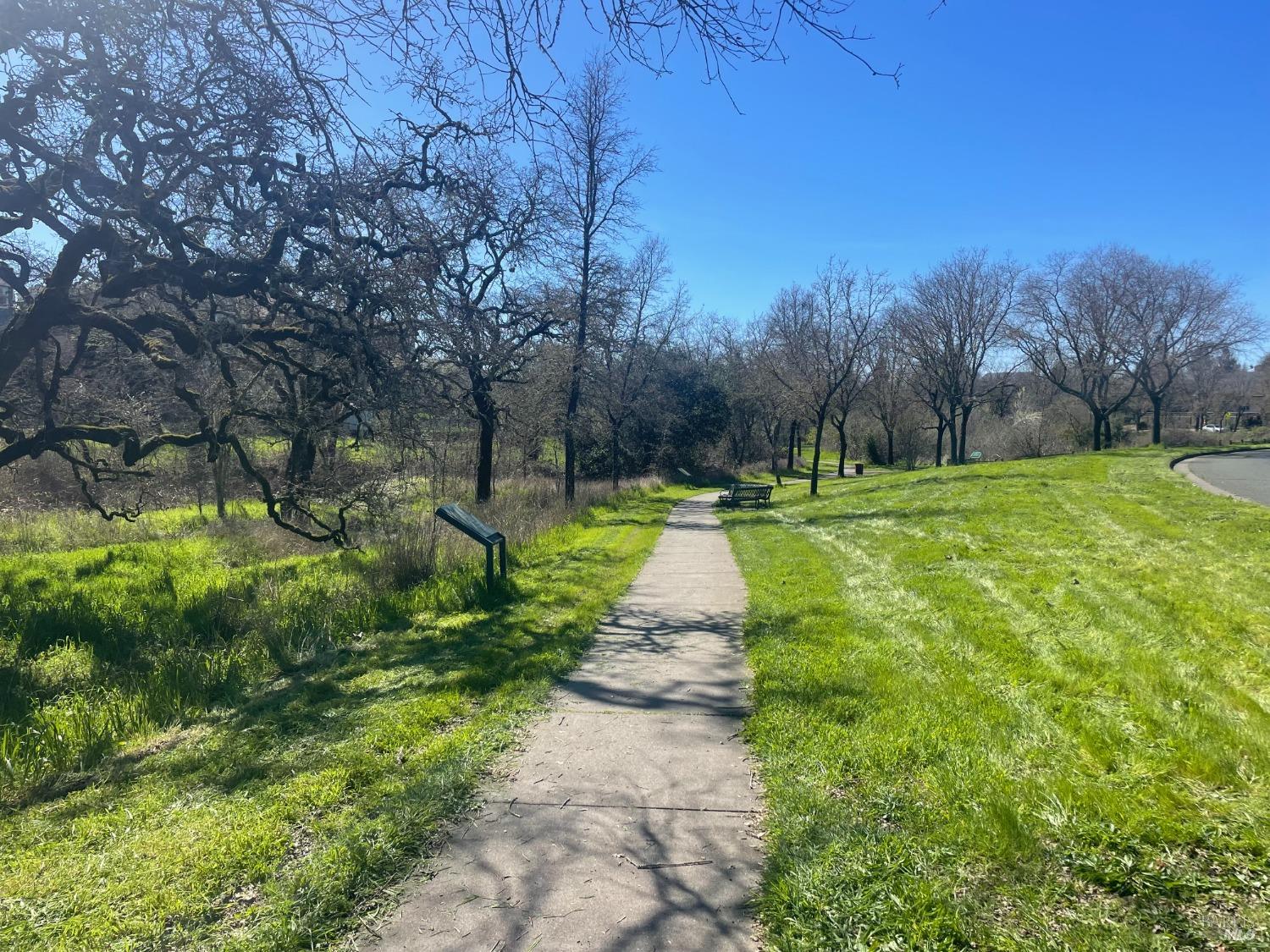 5903 Mountain Hawk Dr