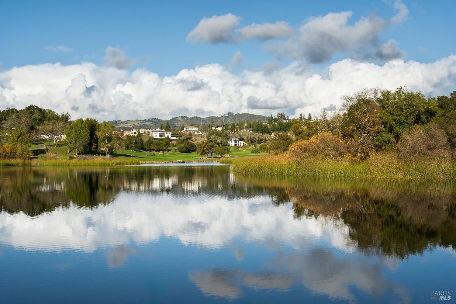 2090 Stonefield Lane