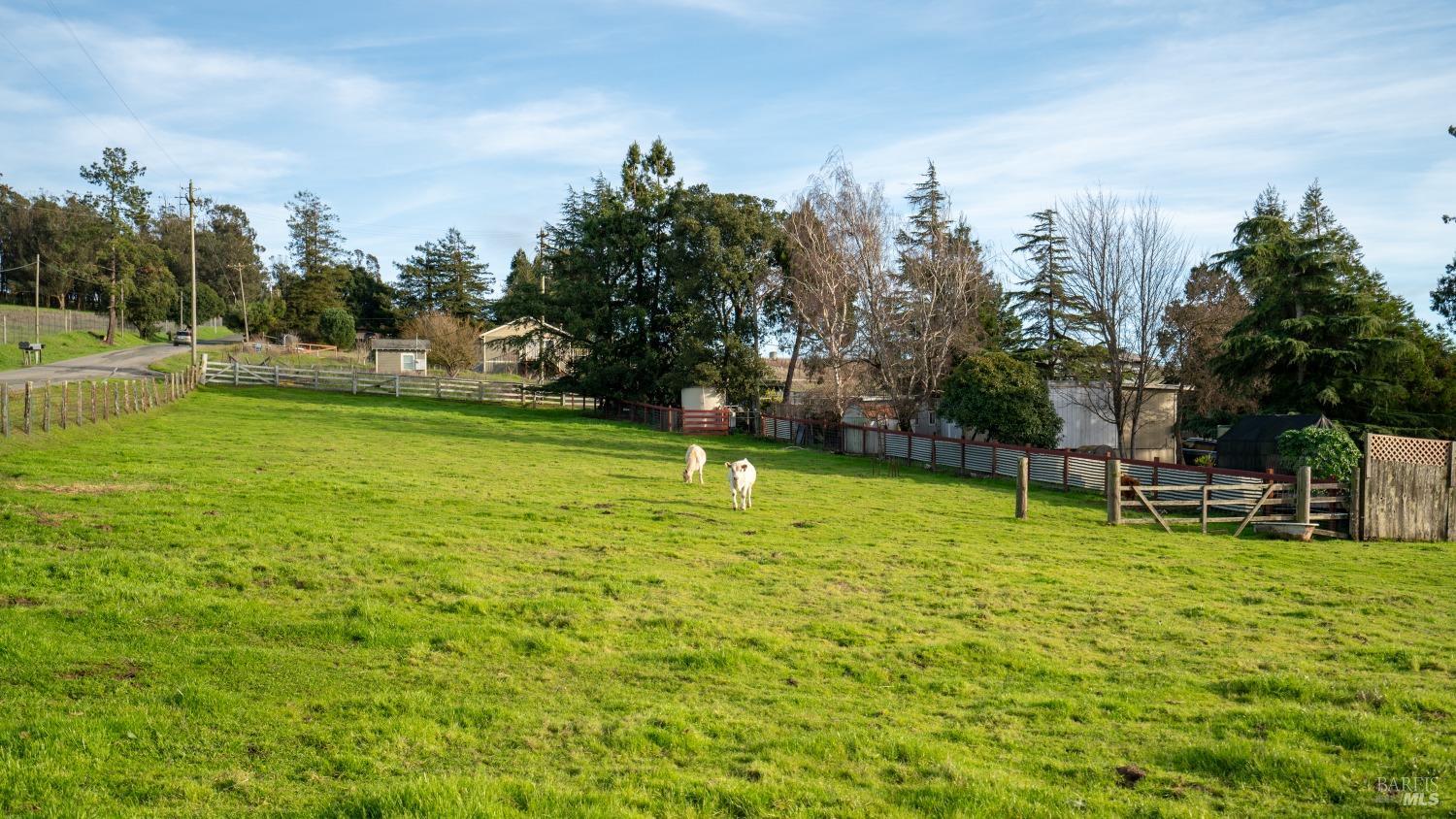 3701 Middle Two Rock Road