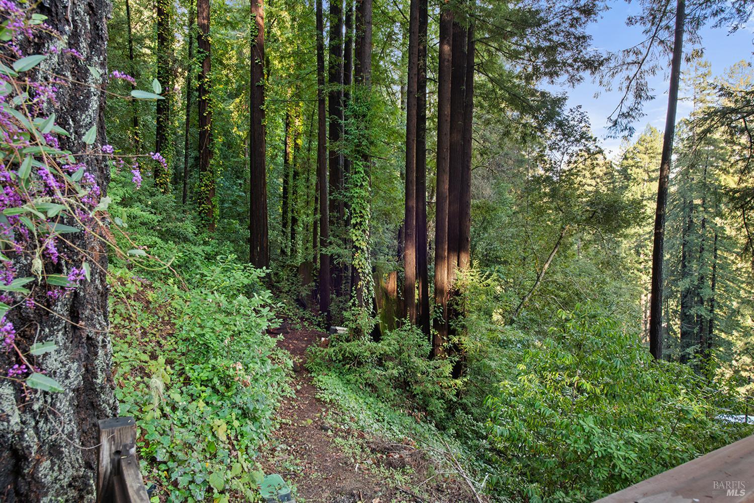 17565 Old Monte Rio Rd