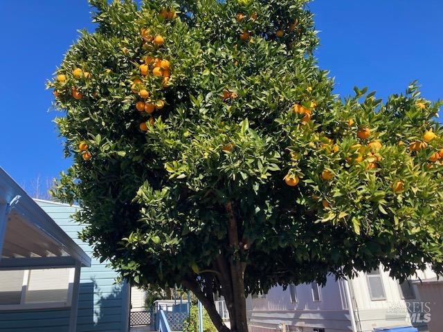 68 Walnut Circle Unit: 68