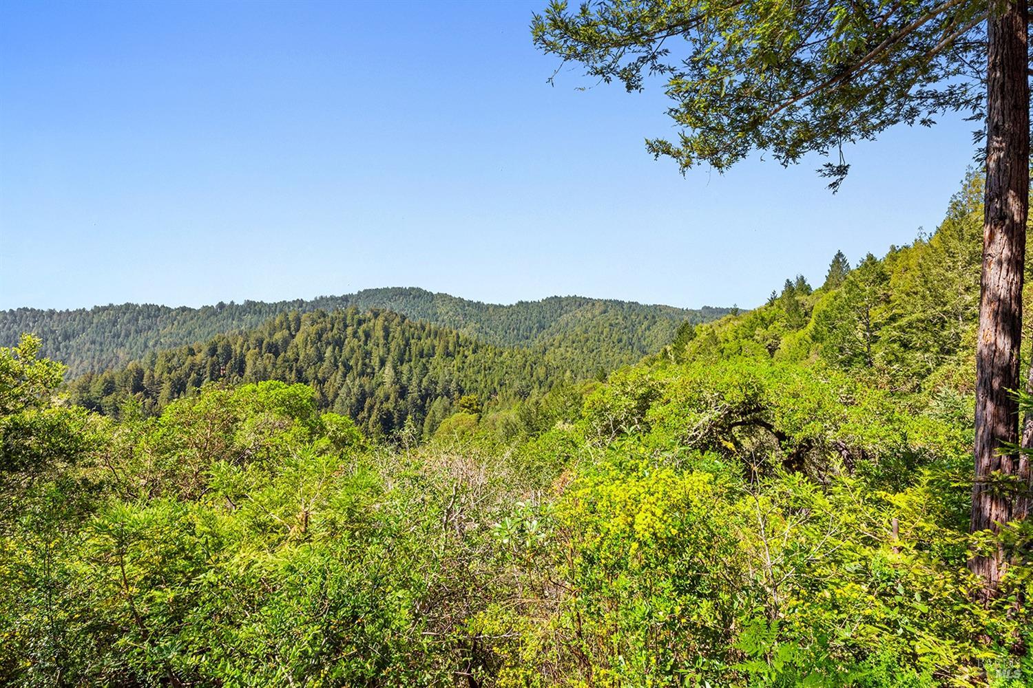 14500 Solaridge Road