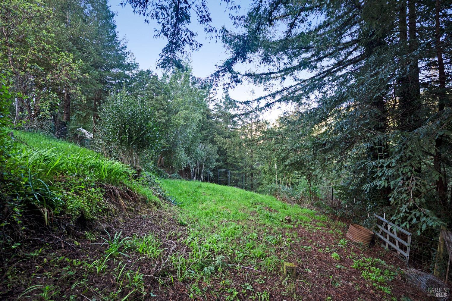 56 Magic Mountain Rd