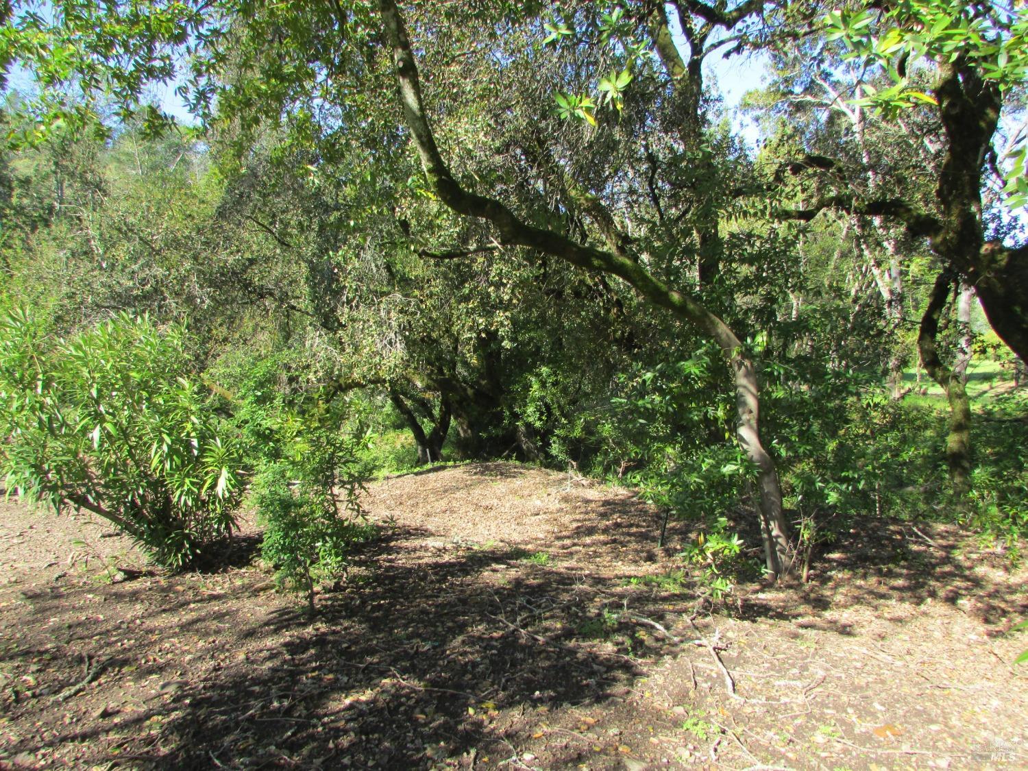 6430 Stone Bridge Rd