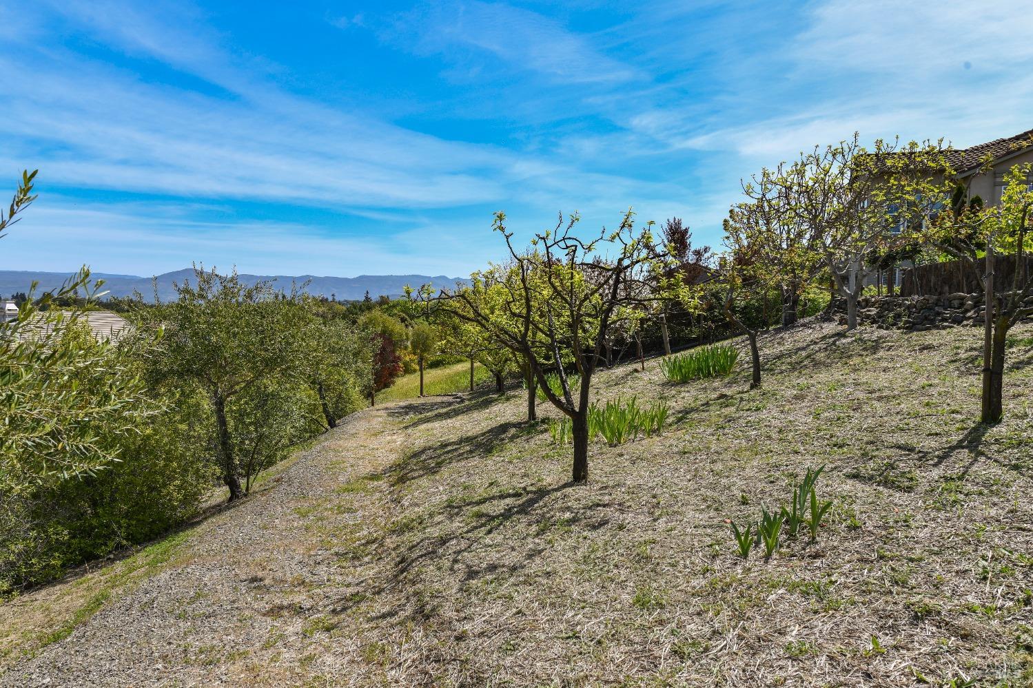 1216 Tall Grass Ct