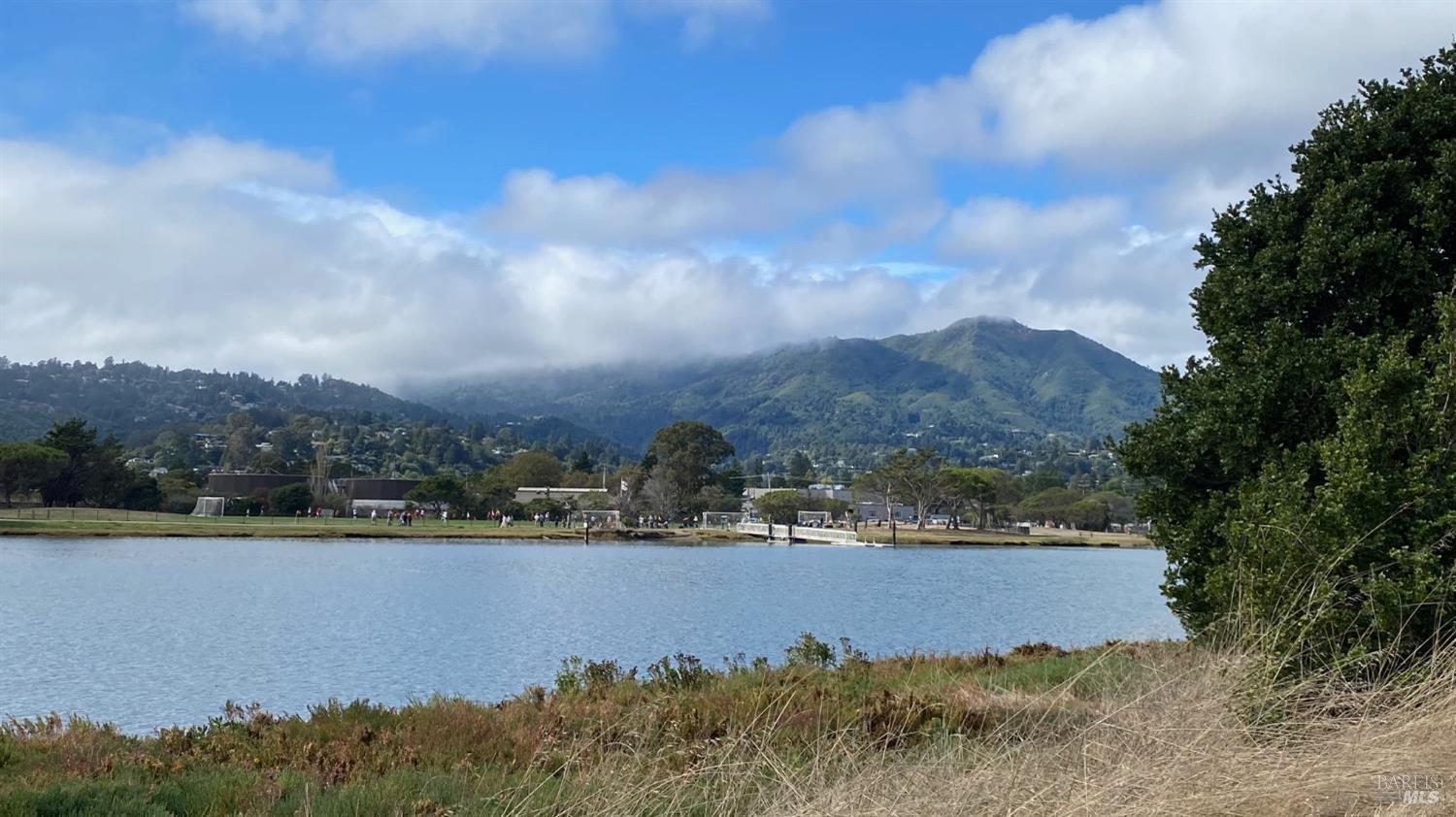 118 Eucalyptus Knoll St