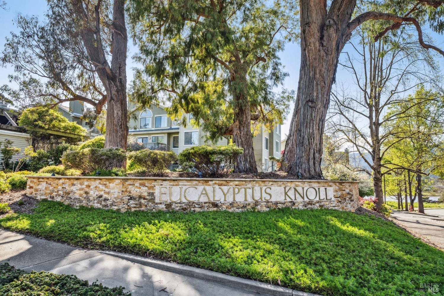 118 Eucalyptus Knoll St