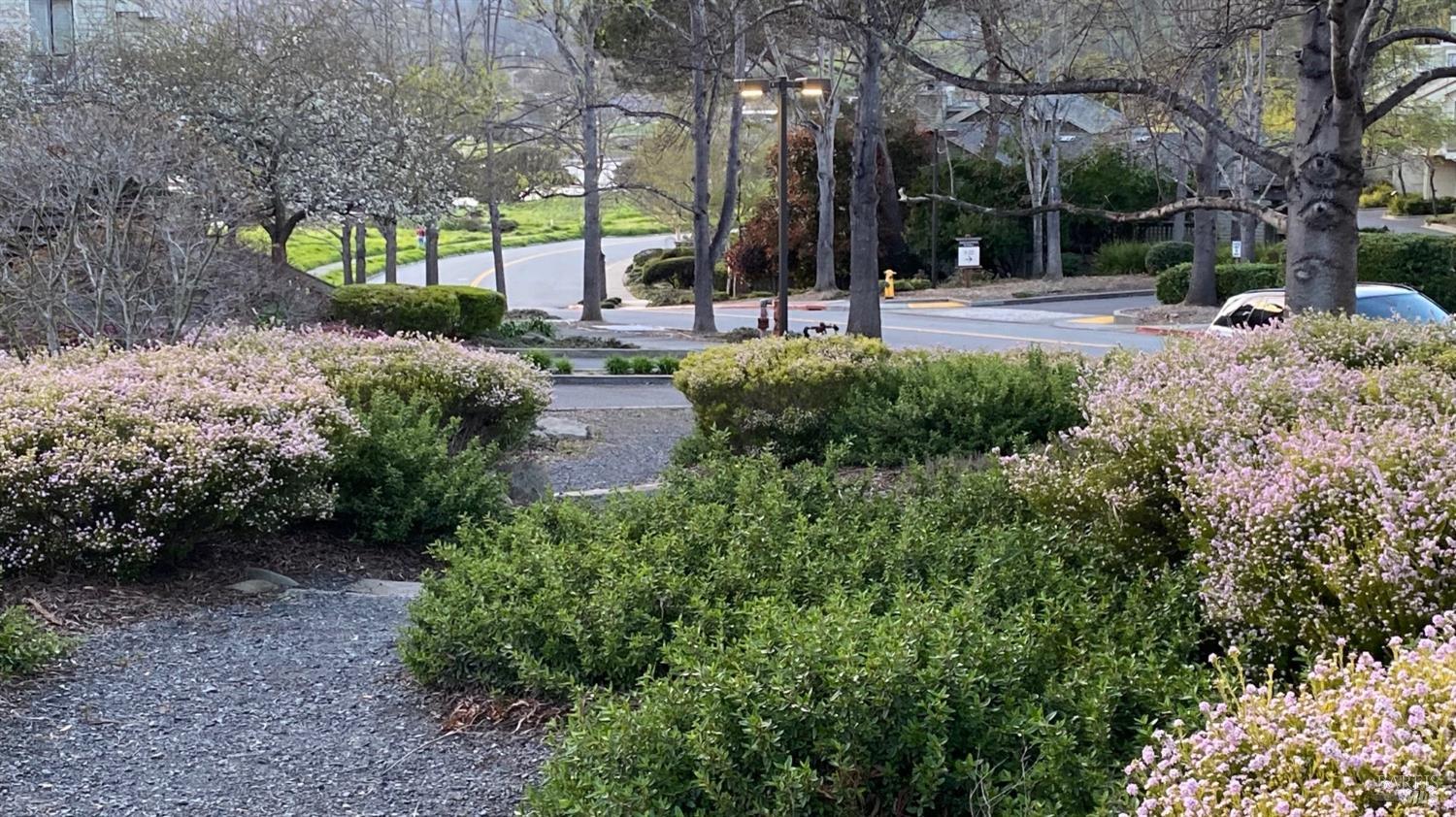 118 Eucalyptus Knoll St