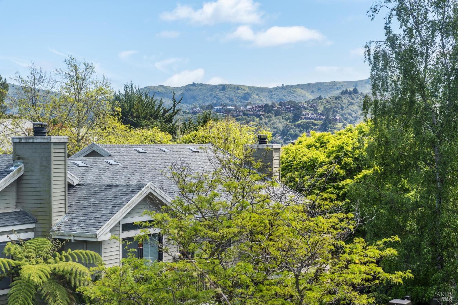 118 Eucalyptus Knoll St