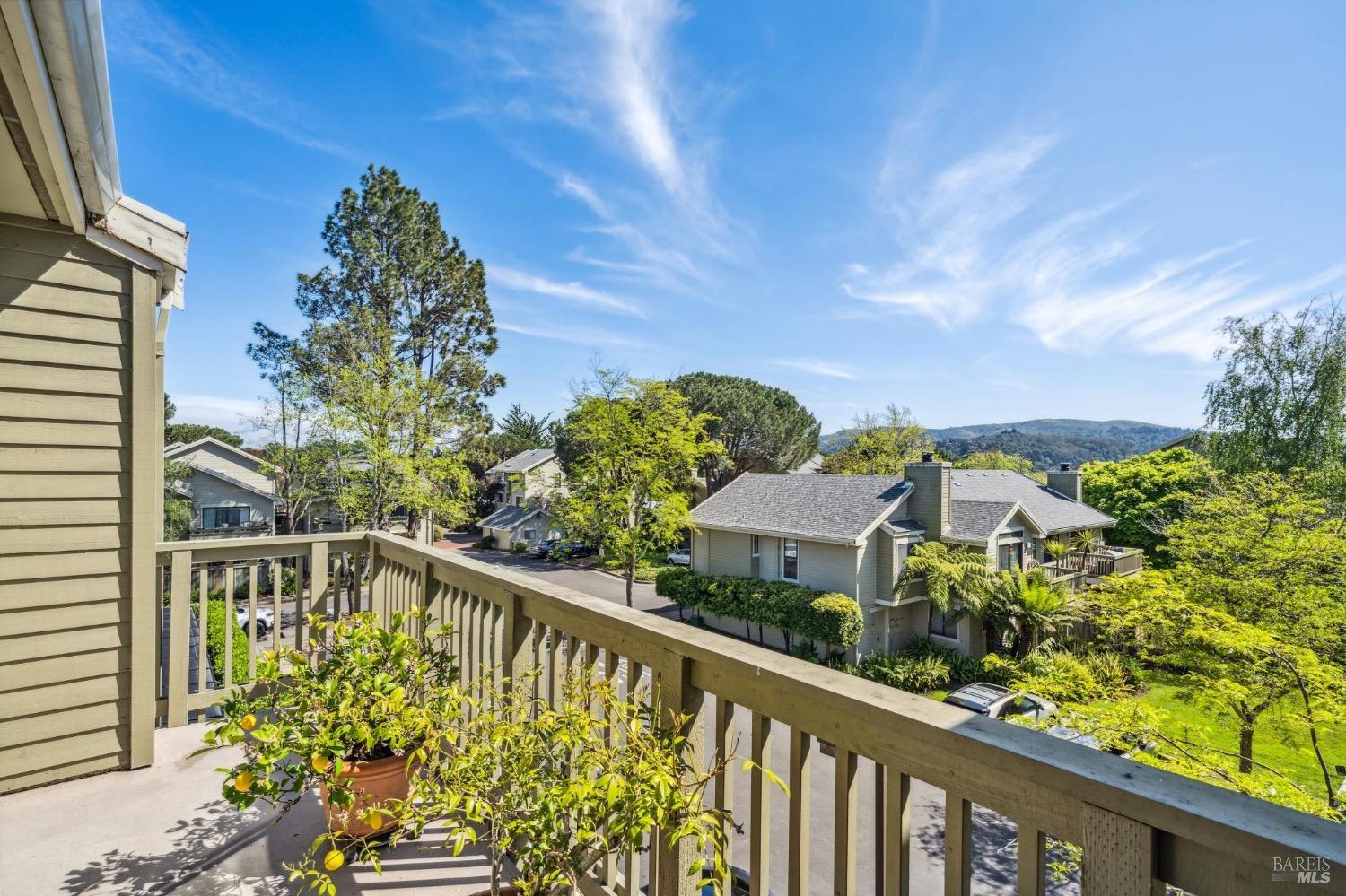 118 Eucalyptus Knoll St