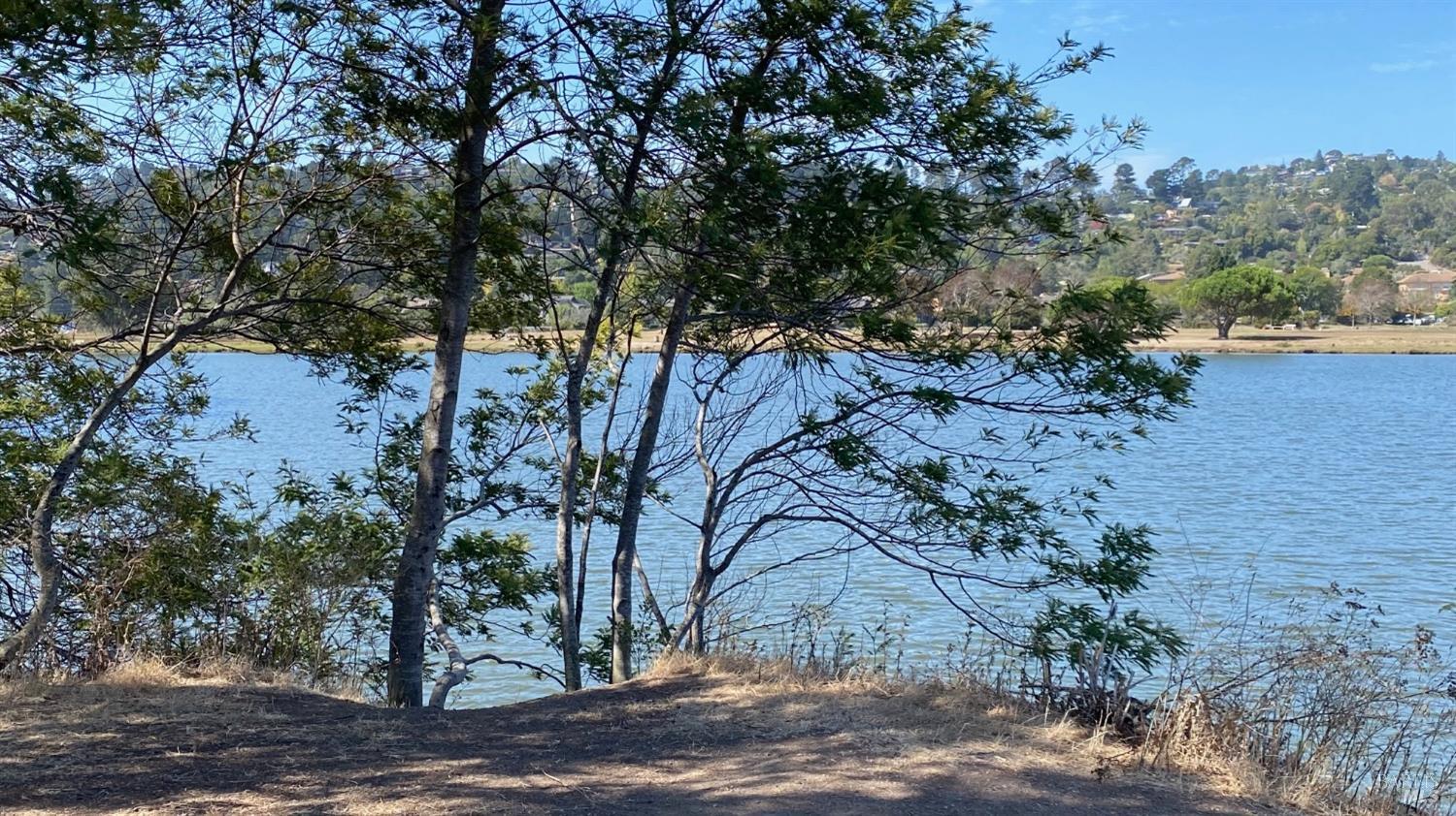 118 Eucalyptus Knoll St