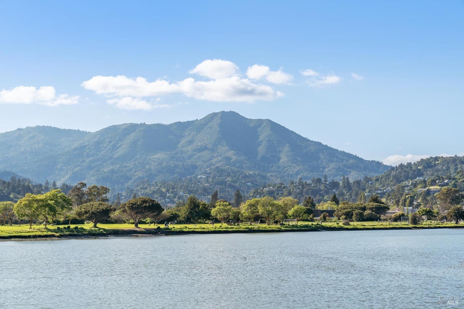 118 Eucalyptus Knoll St