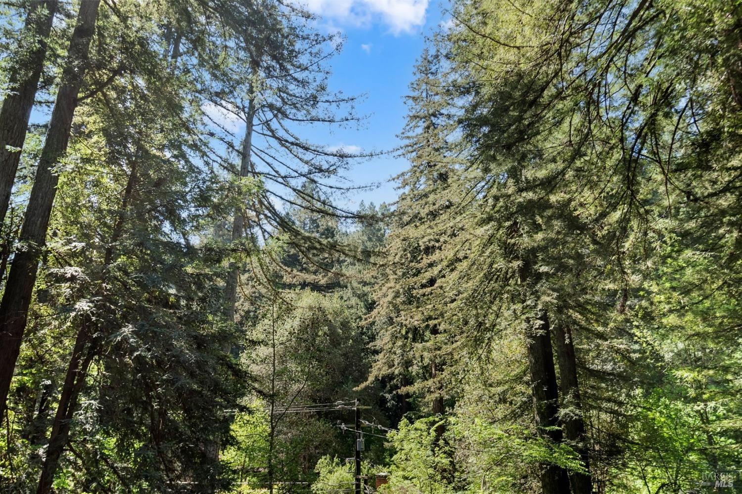 14473 Old Cazadero Rd