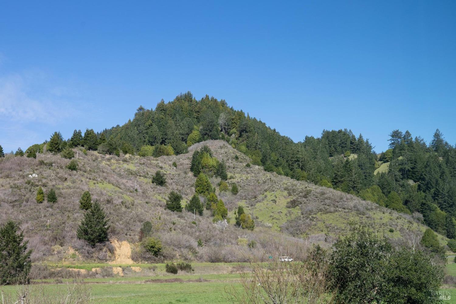 22926 Conifer Drive