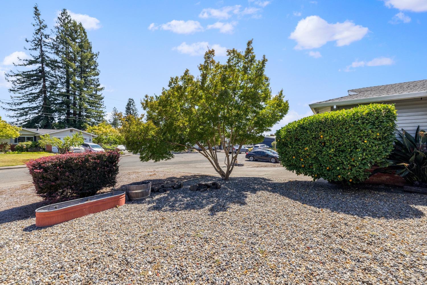 927 Jack London Drive