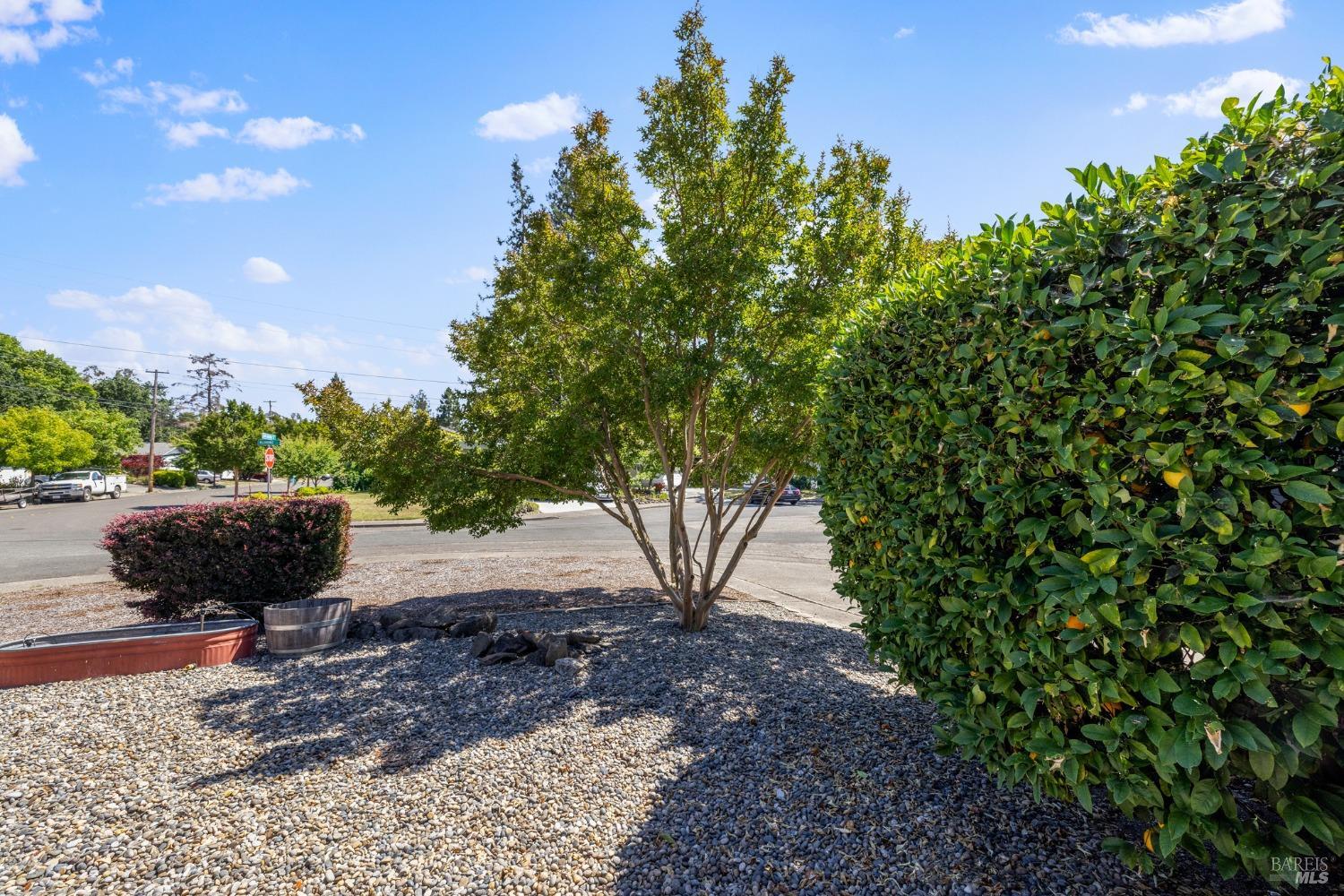 927 Jack London Drive