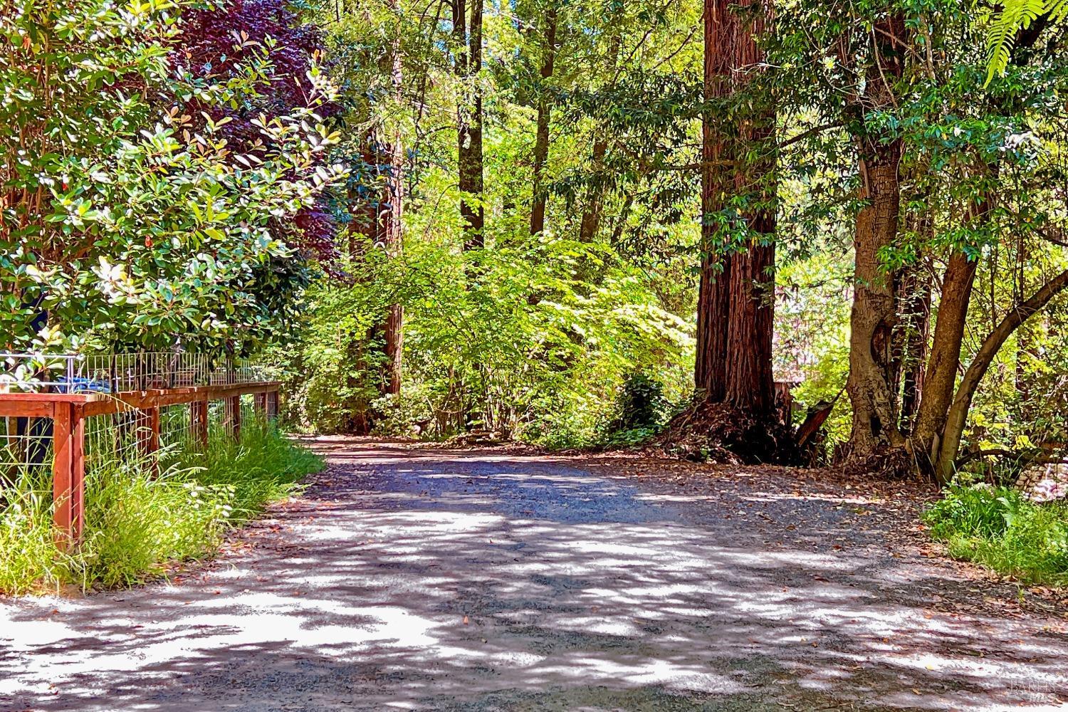 14407 Camino Del Arroyo Rd