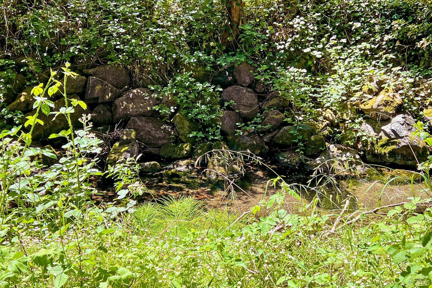 14407 Camino Del Arroyo Rd