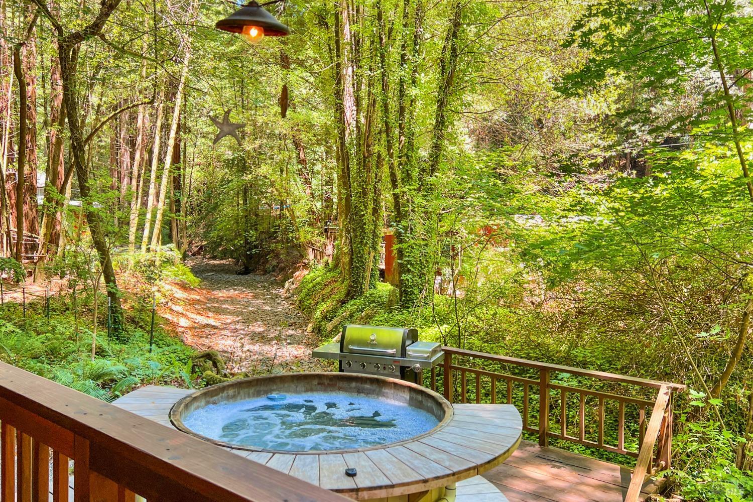 15691 Old Cazadero Rd