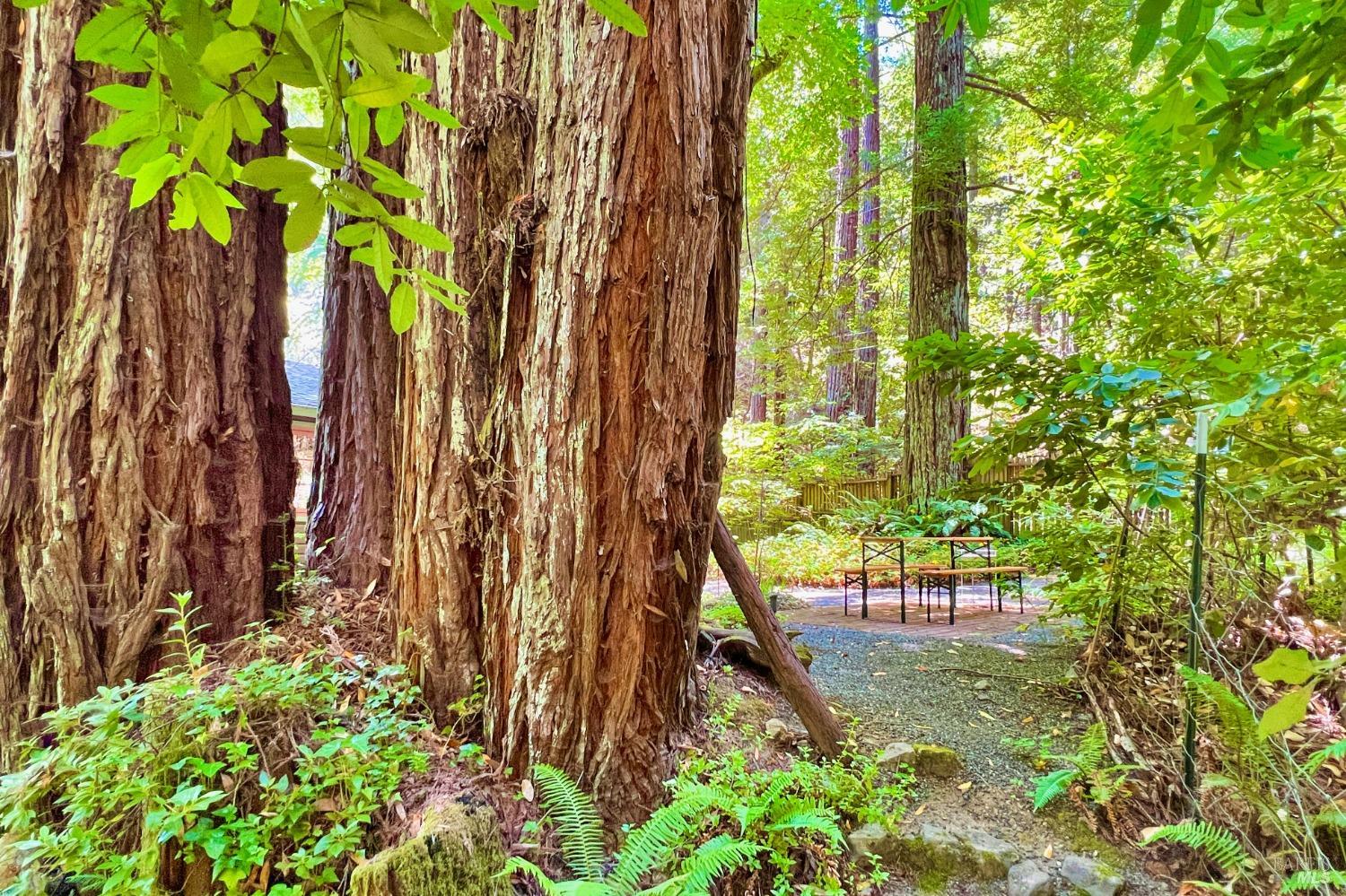 15691 Old Cazadero Rd