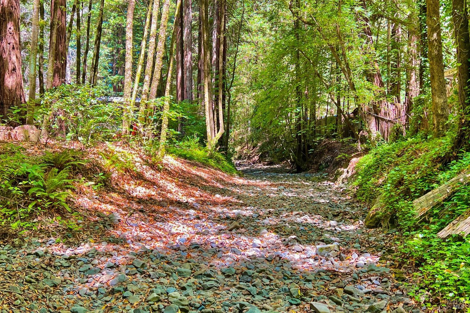 15691 Old Cazadero Rd