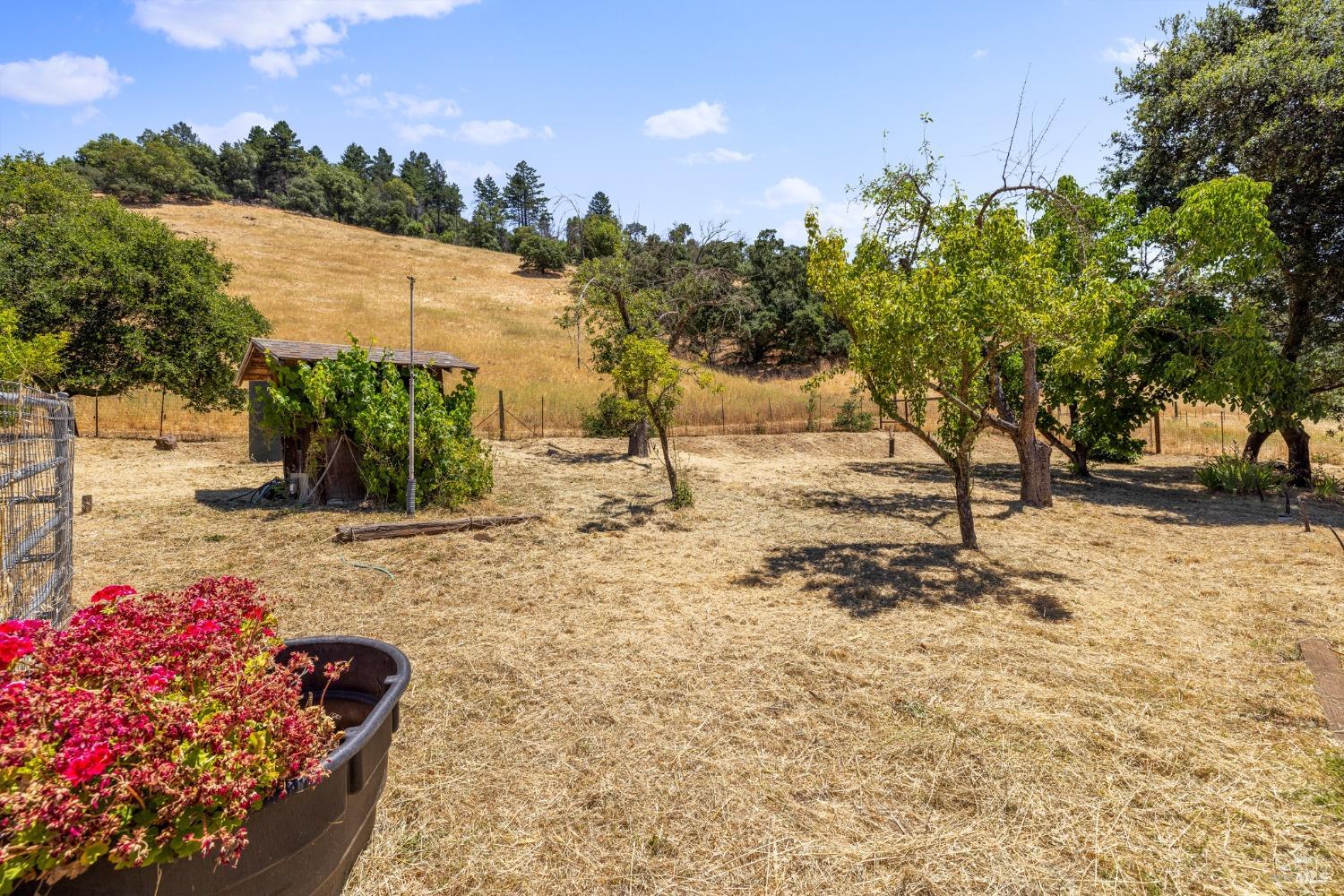 6573 Bennett Valley Road