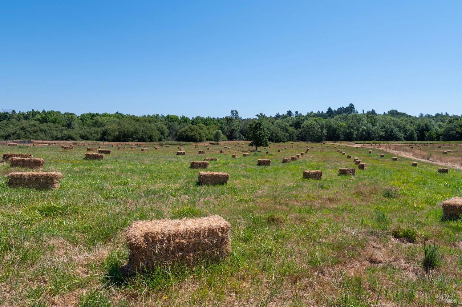 301-303 Watertrough Rd