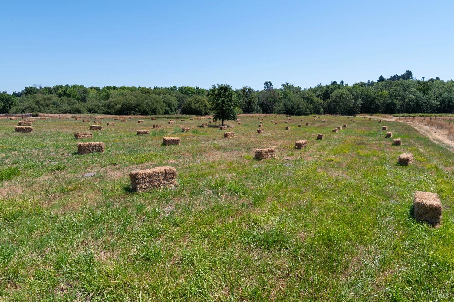 301-303 Watertrough Rd