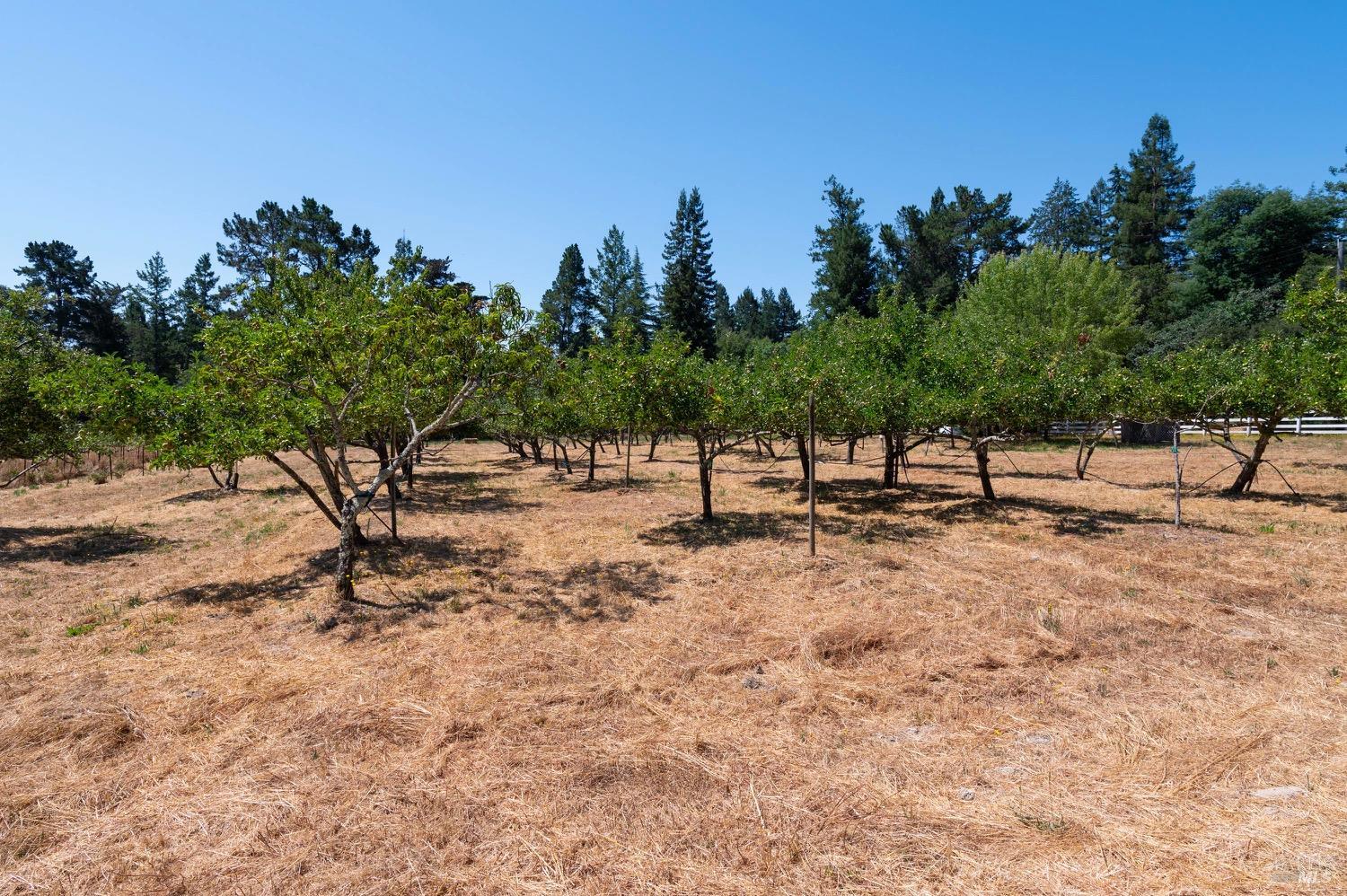 301-303 Watertrough Rd