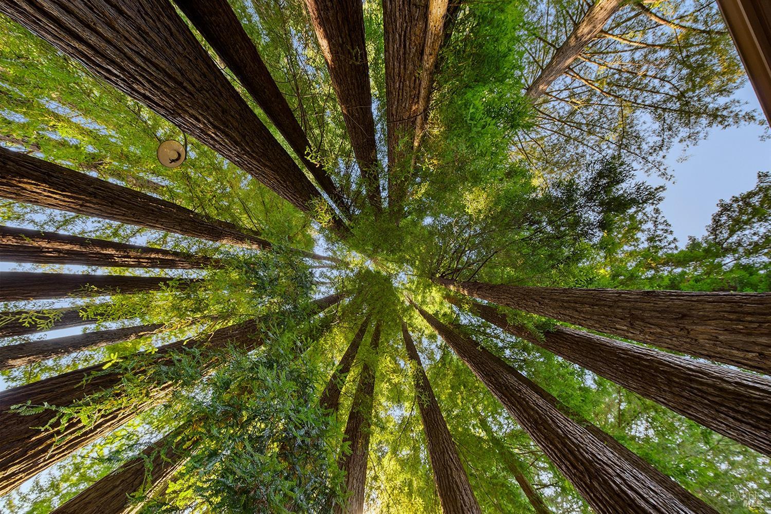 21419 Monte Cristo Ave