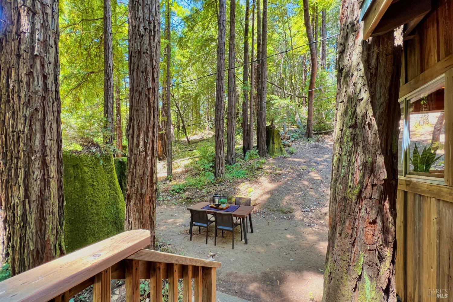 1300 Austin Creek Rd