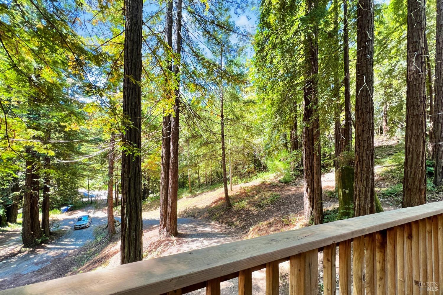 1300 Austin Creek Rd