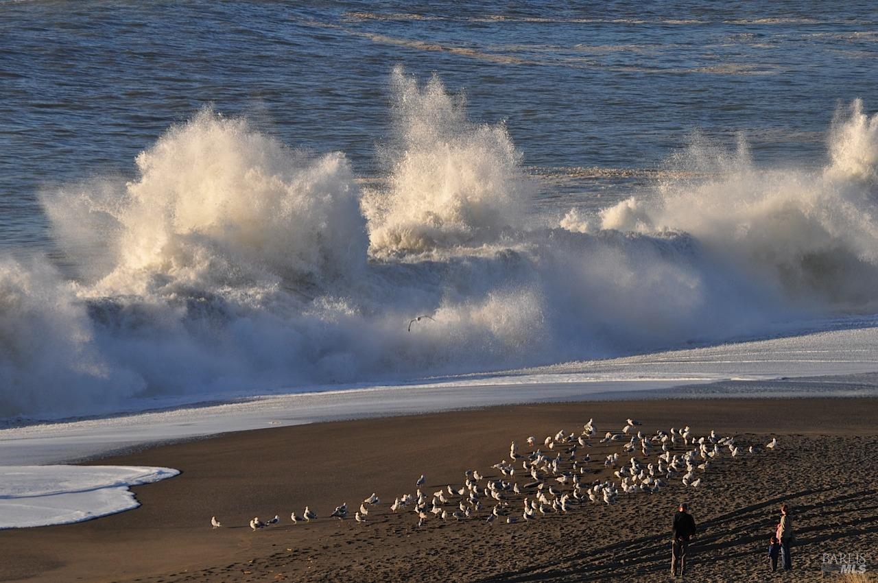 1300 Austin Creek Rd