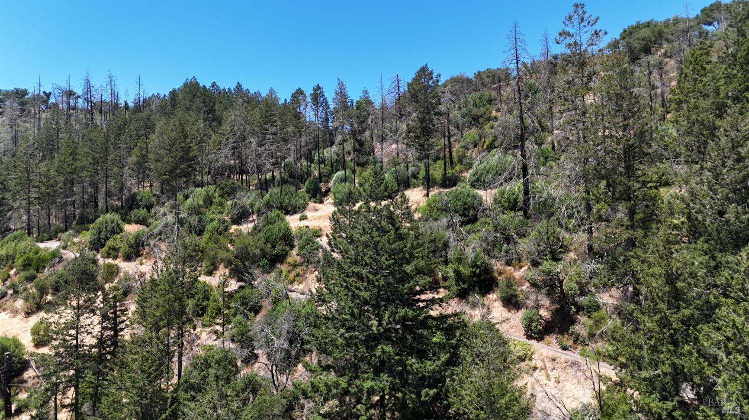 2091 Mark West Springs Rd