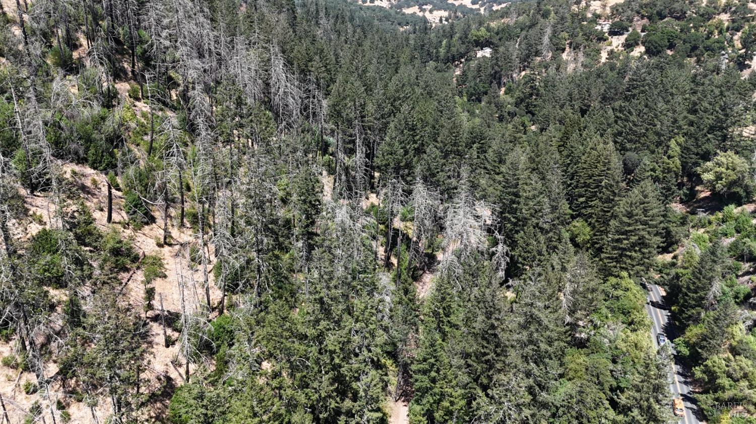 2091 Mark West Springs Rd