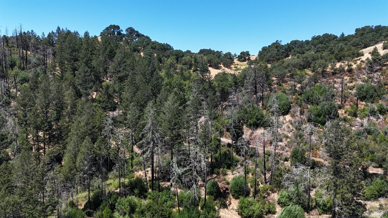 2091 Mark West Springs Rd