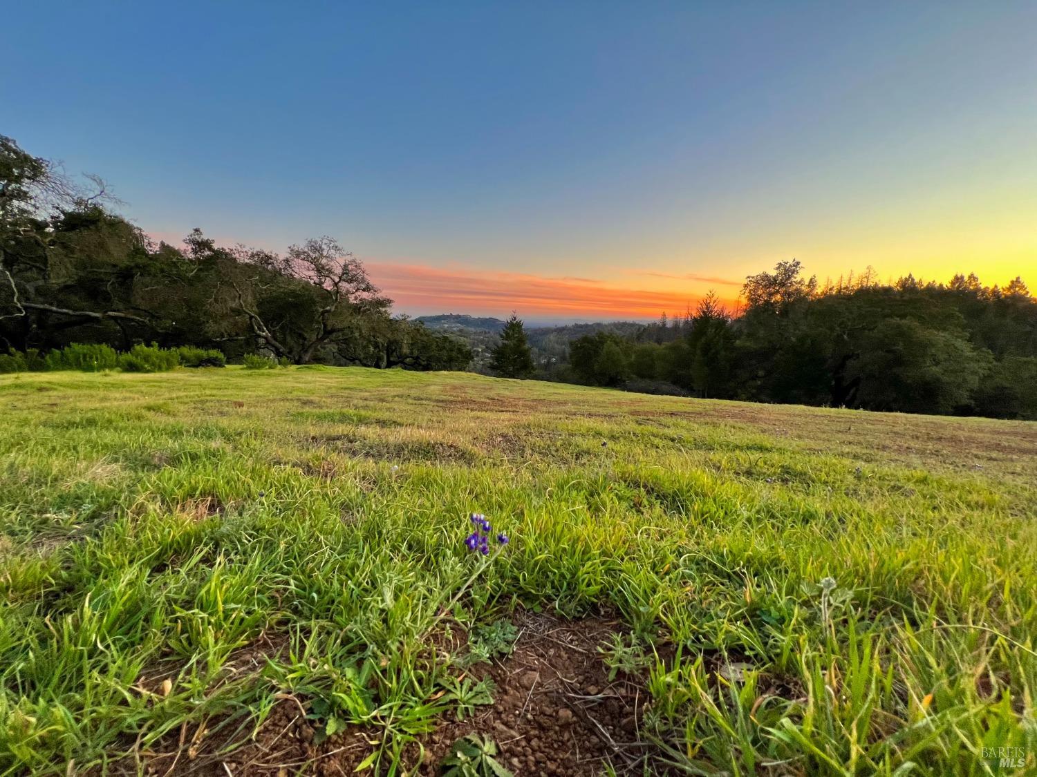 2091 Mark West Springs Rd