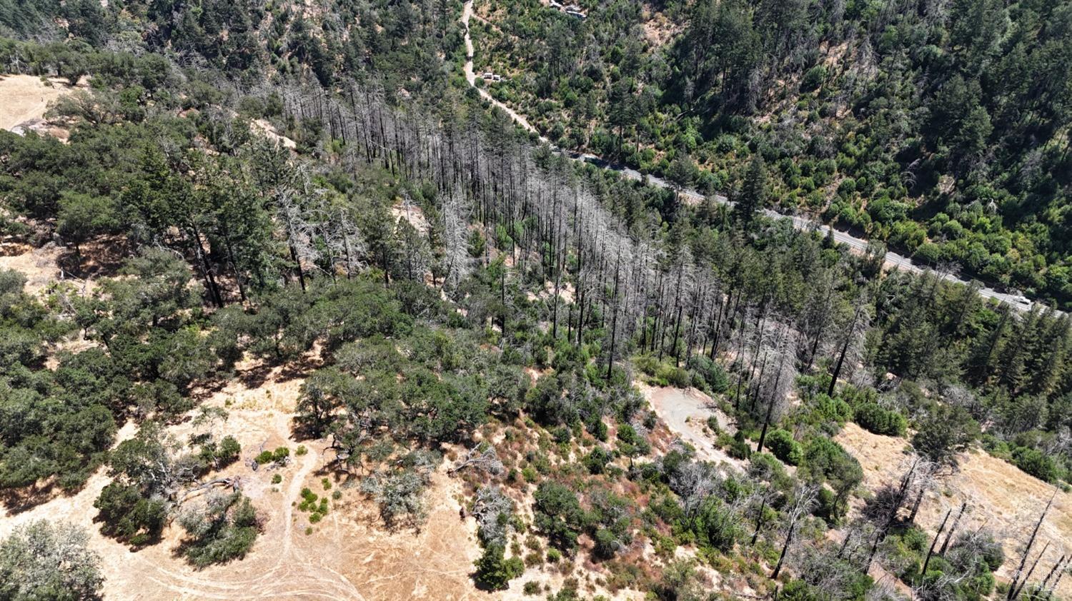 2091 Mark West Springs Rd