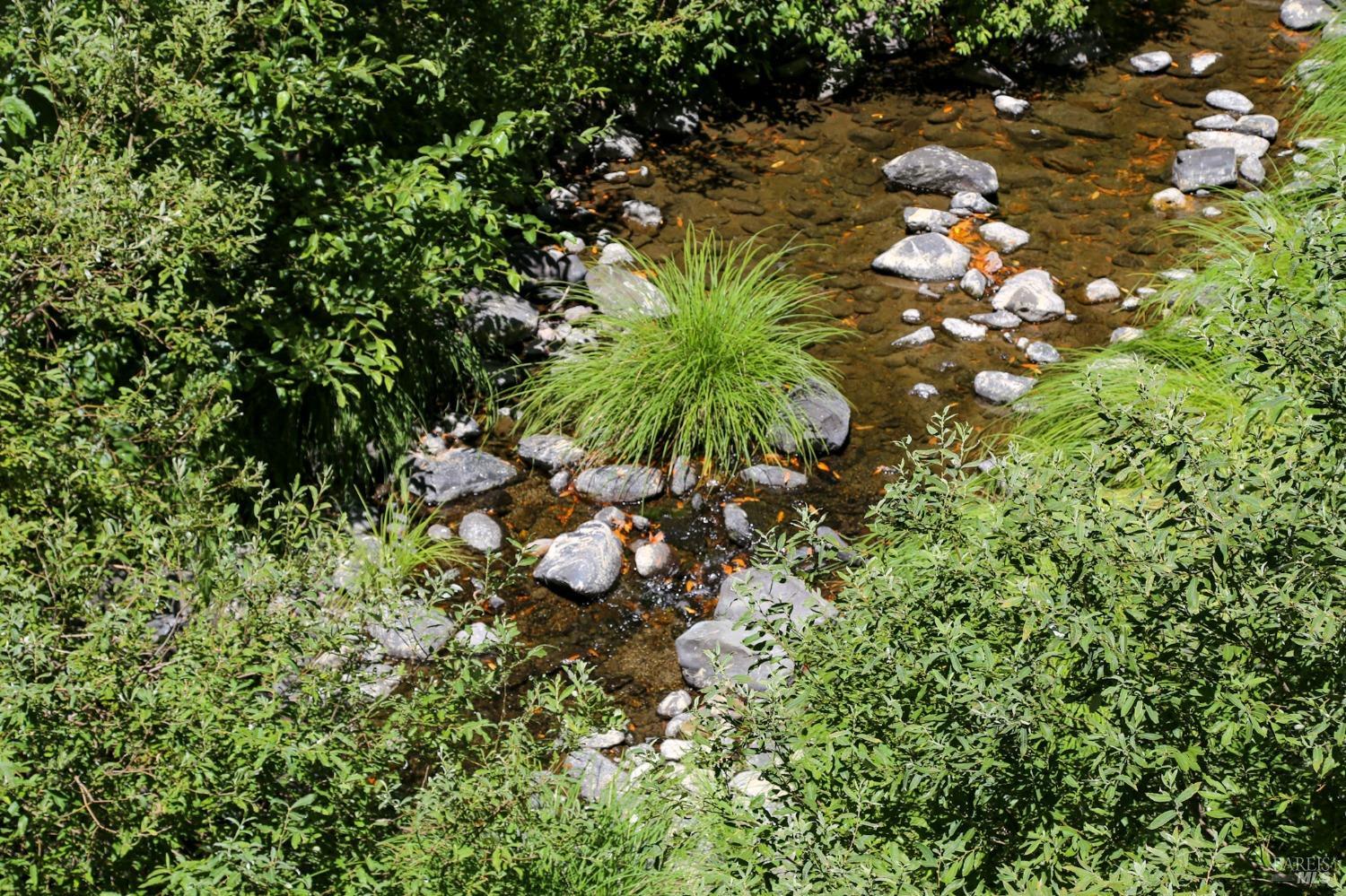 2091 Mark West Springs Rd