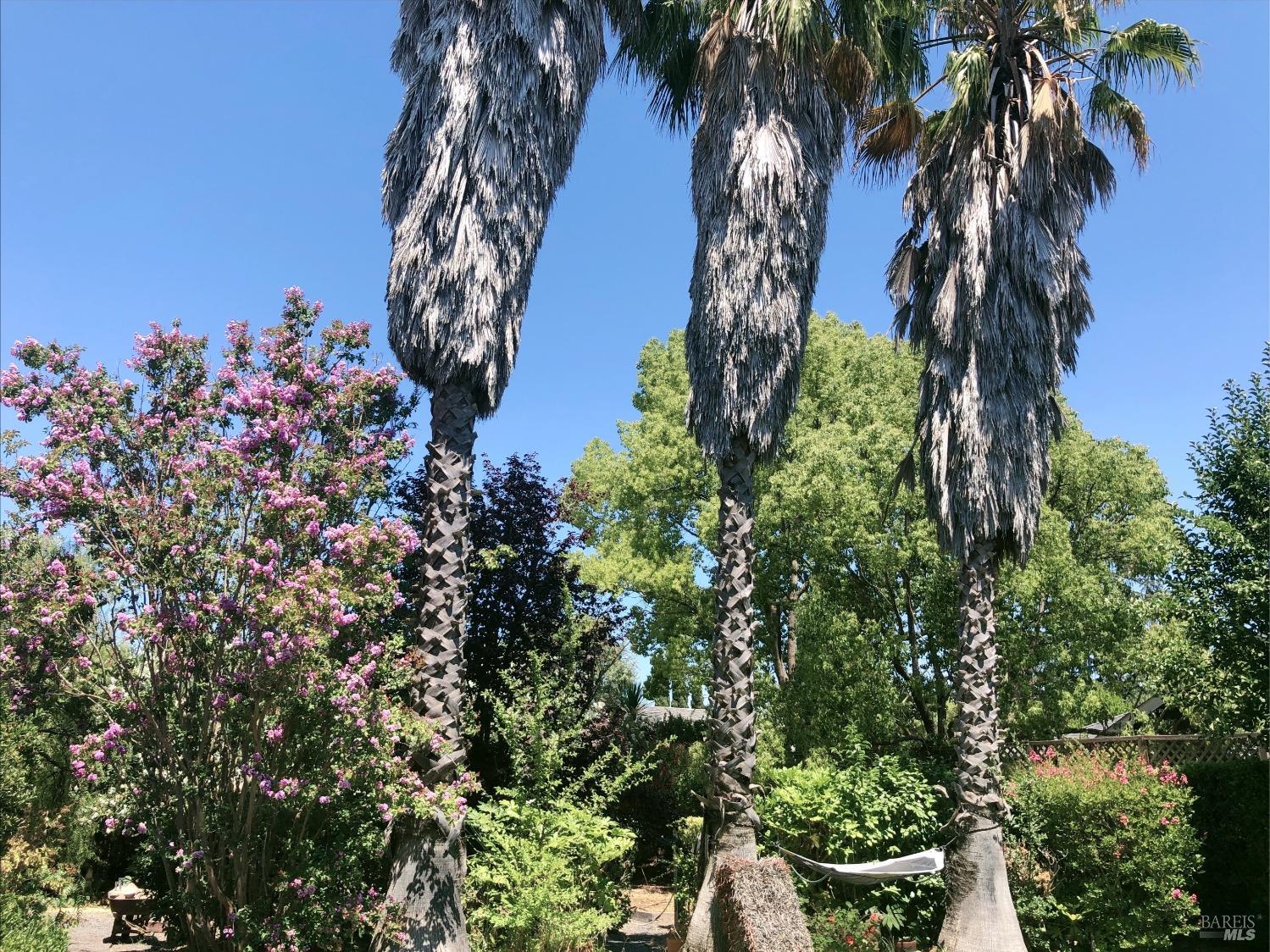 2441 Quail Hollow Dr