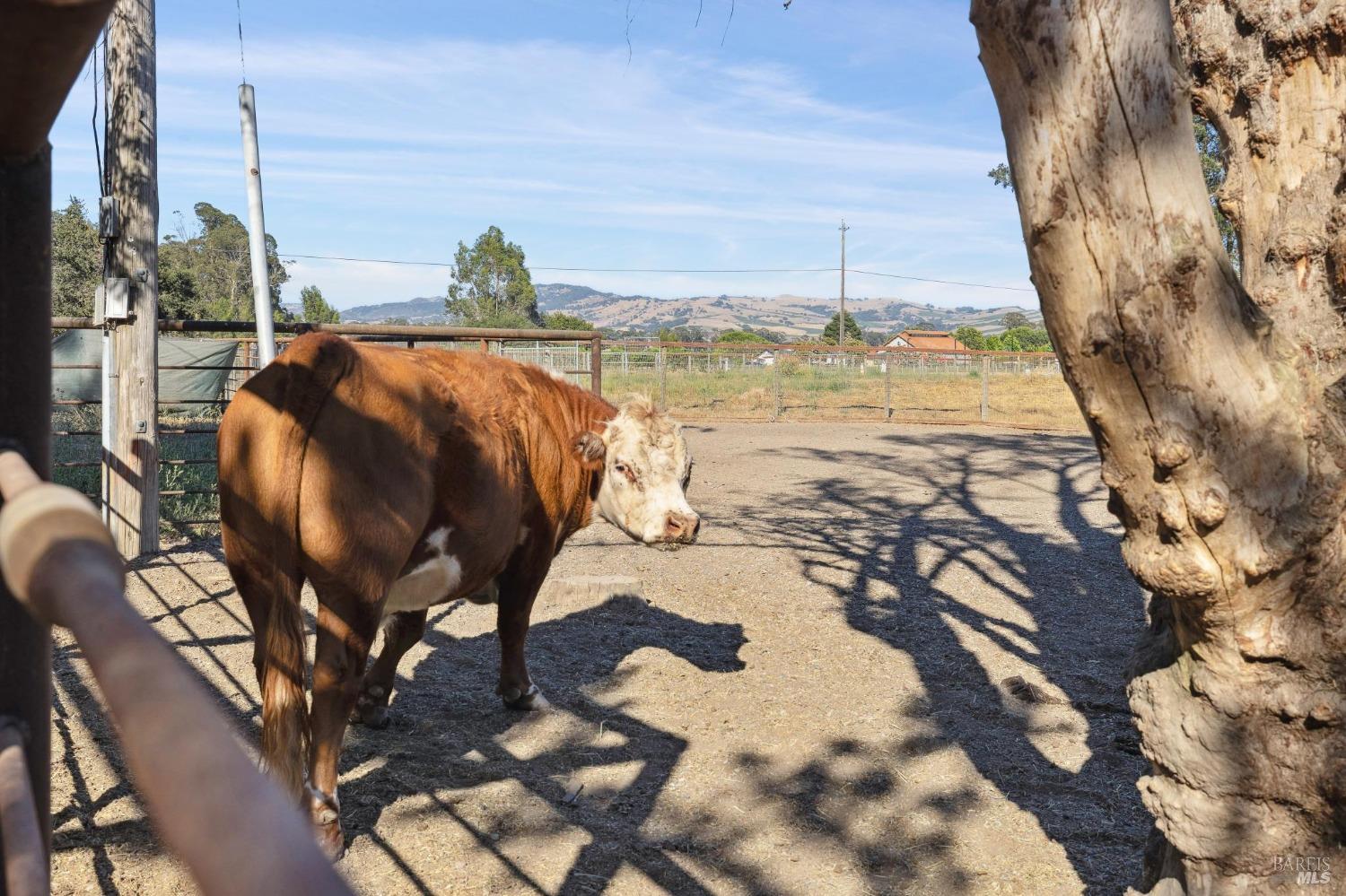 1199 Cuttings Wharf Rd