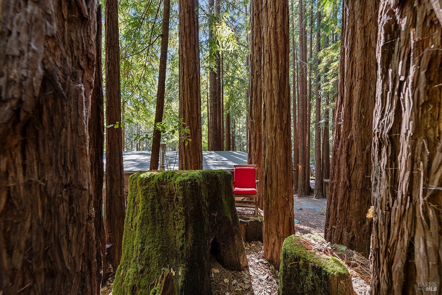 10 Sunrise Mountain Rd